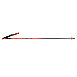 Sjezdové hole Rossignol Hero Carbon - 2025/26