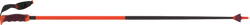  Sjezdové hole Atomic Redster Carbon SQS Red/Carbon - 2024/25