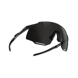 Sluneční brýle Dynafit Alpine Sunglasses Black Out/Nimbus- 2025/26