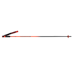 Sjezdové hole Rossignol Hero Carbon - 2025/26