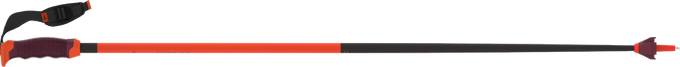  Sjezdové hole Atomic Redster Carbon SQS Red/Carbon - 2024/25