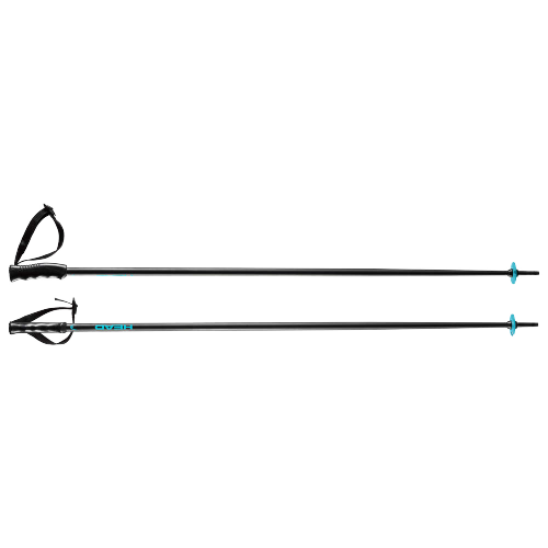 Sjezdové hole HEAD Multi Black Speed Blue - 2025/26