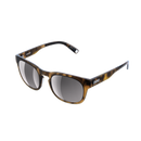 Tortoise Brown