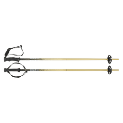 Sjezdové hole HEAD Kore Team Metallic Sand/Black - 2025/26