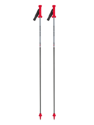 Sjezdové hole Van Deer Race GS Carbon - 2025/26