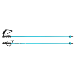  Sjezdové hole HEAD Worldcup Rebels Carbon Speed Blue - 2025/26