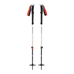 Turistické Hole Black Diamond Expedition 2 Ski Poles  - 2023/24