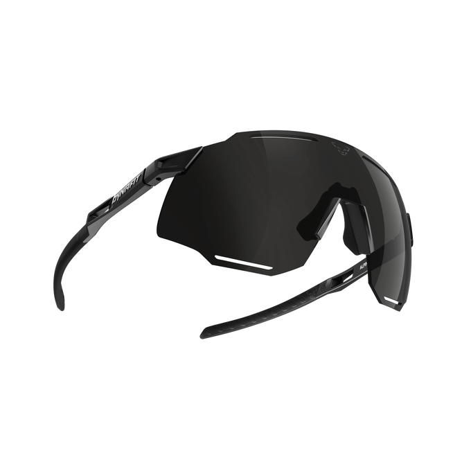 Sluneční brýle Dynafit Alpine Sunglasses Black Out/Nimbus- 2025/26