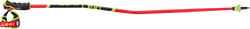 Sjezdové hole LEKI WCR GS Carbon 3D Red - 2025/26