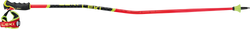 Sjezdové hole LEKI WCR GS Carbon 3D Red - 2025/26
