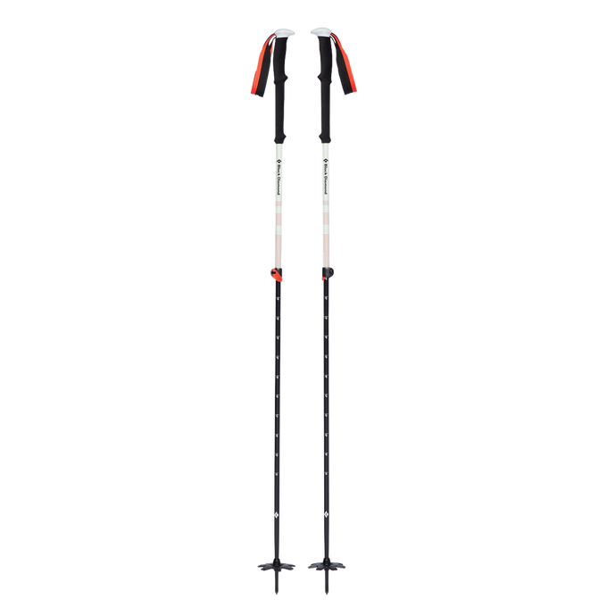 Turistické Hole Black Diamond Expedition 2 Ski Poles  - 2023/24
