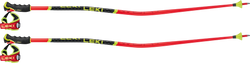 Sjezdové hole LEKI WCR GS 3D Red - 2025/26