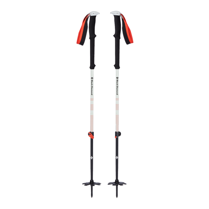 Turistické Hole Black Diamond Expedition 2 Ski Poles  - 2023/24
