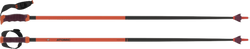  Sjezdové hole Atomic Redster Carbon SQS Red/Carbon - 2024/25