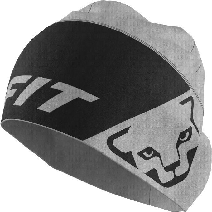 Čepice Dynafit Upcycled Speed Polartec Beanie Quiet Shade - 2025/26