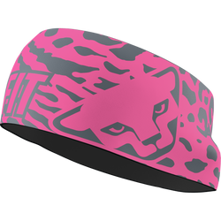 Celenka Dynafit Graphic Performance Headband Cheeky Pink/Leo - 2025/26