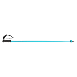 Sjezdove hole HEAD Worldcup SL Speed Blue - 2025/26