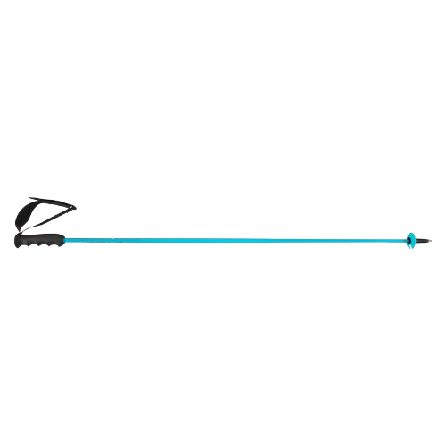  Sjezdové hole HEAD Worldcup Rebels Carbon Speed Blue - 2025/26