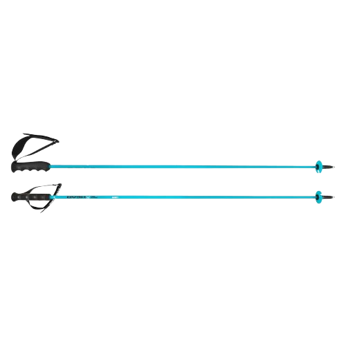  Sjezdové hole HEAD Worldcup Rebels Carbon Speed Blue - 2025/26