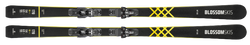 Zjazdové lyže Blossom Skis Numero Uno GS WCR 14 + ST 14 - 2024/25