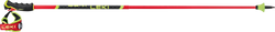 Sjezdové hole LEKI Venom GS 3D Red - 2025/26