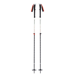 Turistické Hole Black Diamond Expedition 2 Ski Poles  - 2023/24