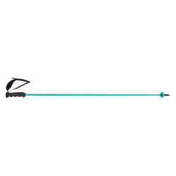 Sjezdové hole HEAD Worldcup Rebels Carbon Speed Blue - 2025/26