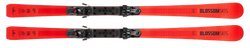Sjezdové lyže Blossom Skis Numero Uno XC WCR 14 + ST 14 - 2025/26