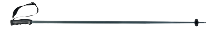 Sjezdové hole HEAD Multi Grey/White - 2025/26