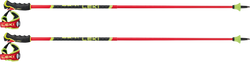 Sjezdové hole LEKI Venom GS 3D Red - 2025/26