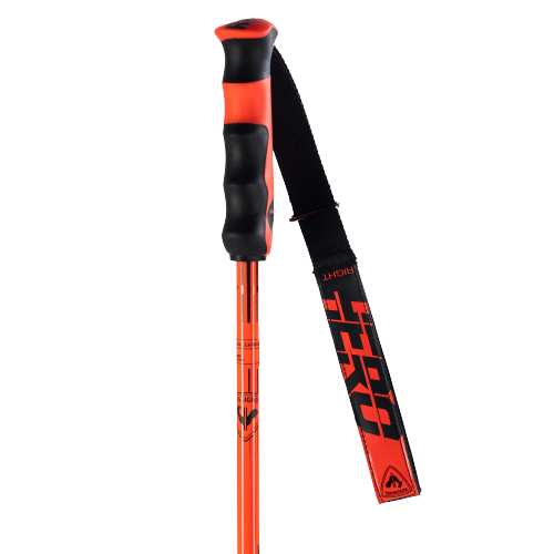 Sjezdové hole Rossignol Hero Carbon - 2025/26